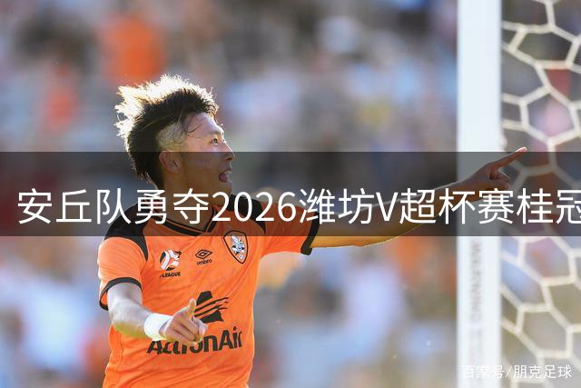 安丘队勇夺2026潍坊V超杯赛桂冠 绿茵场上演巅峰对决
